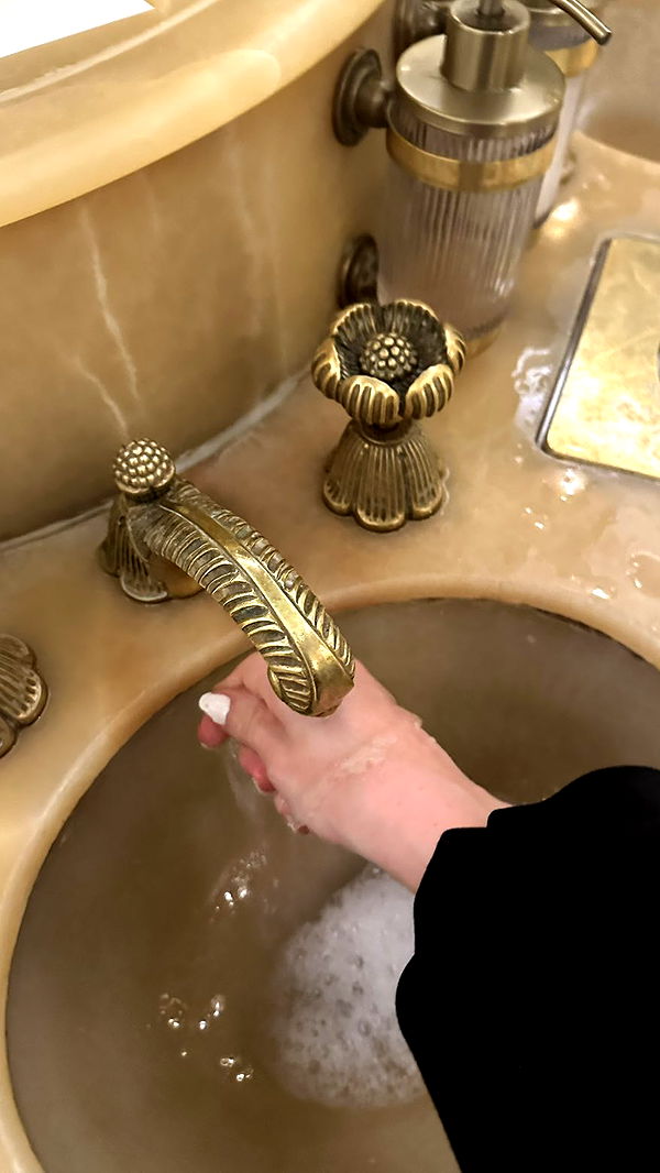 mira.0004 image ~ Altpins