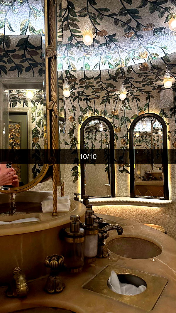 mira.0004 image ~ Altpins