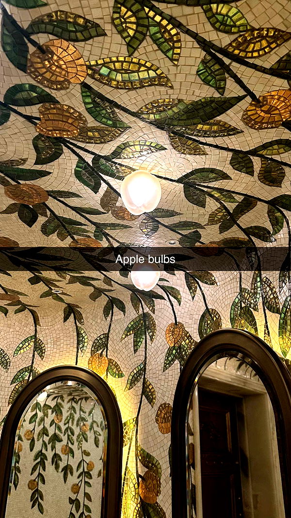 mira.0004 image ~ Altpins