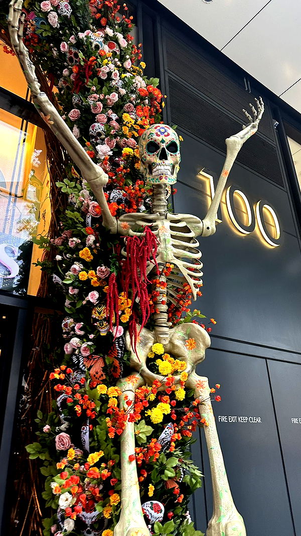 mira.0004 image ~ Altpins