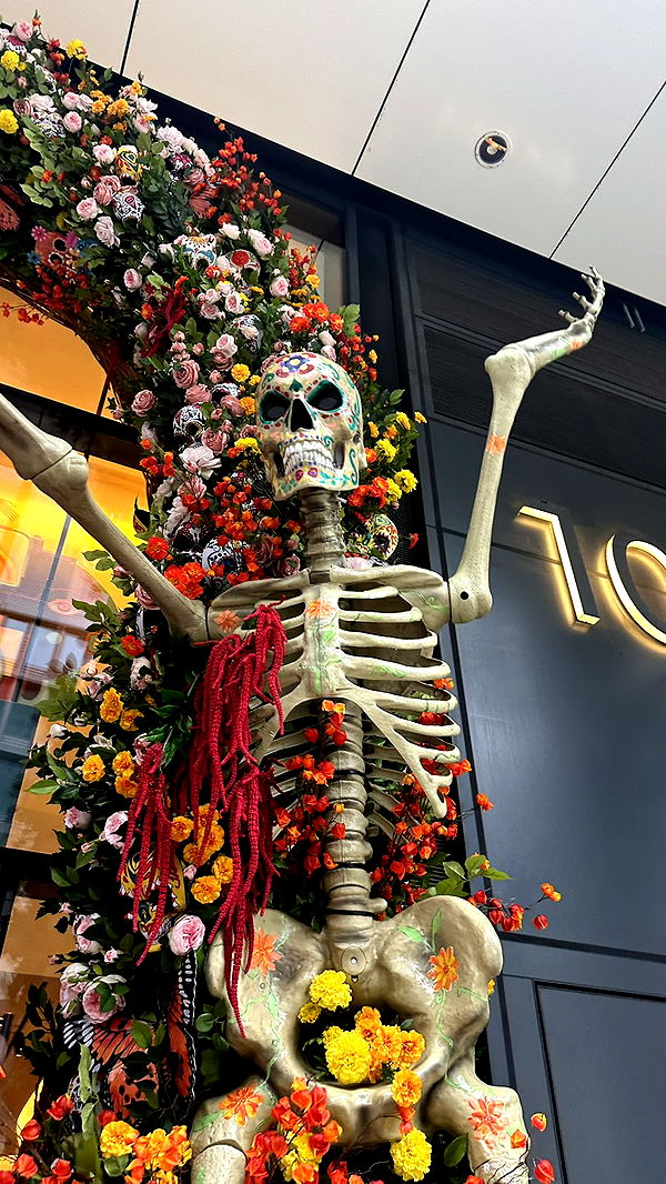 mira.0004 image ~ Altpins