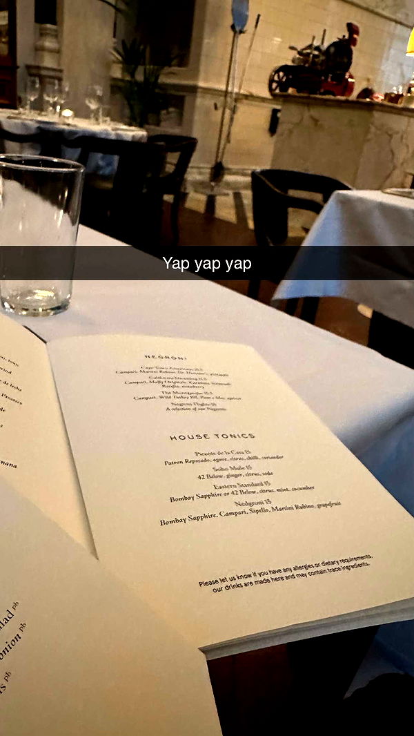 mira.0004 image ~ Altpins