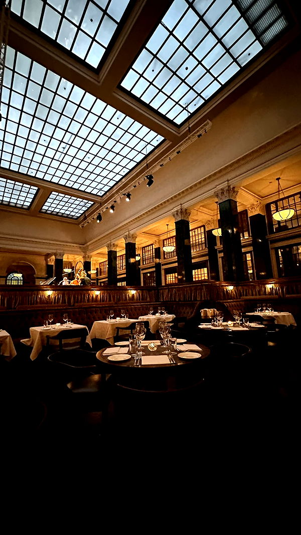 mira.0004 image ~ Altpins