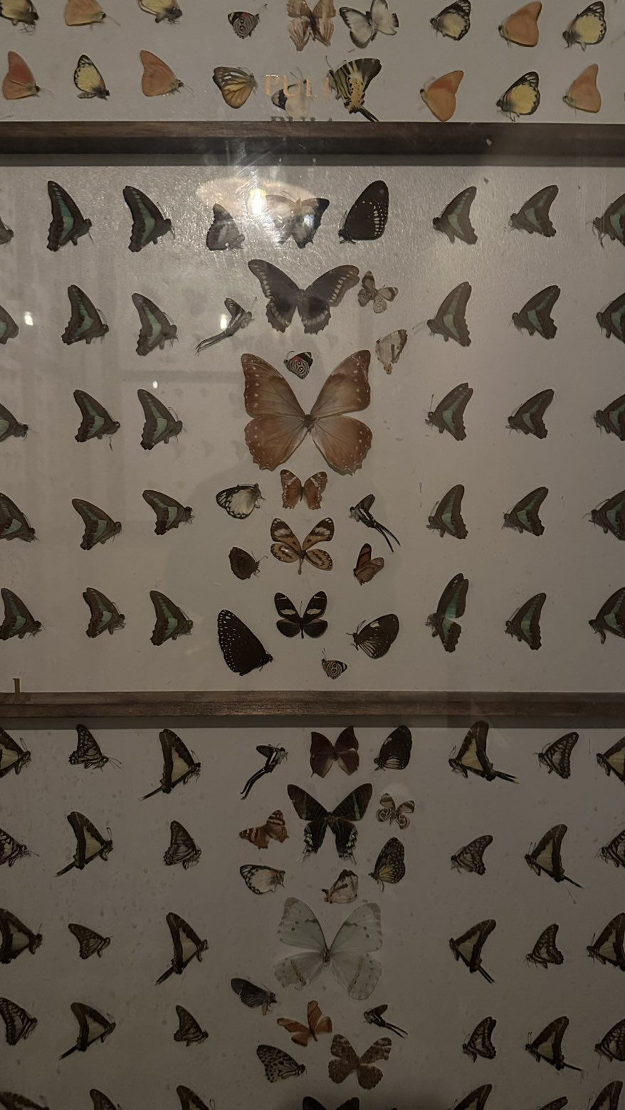 mira.0004 snapchat image archive image