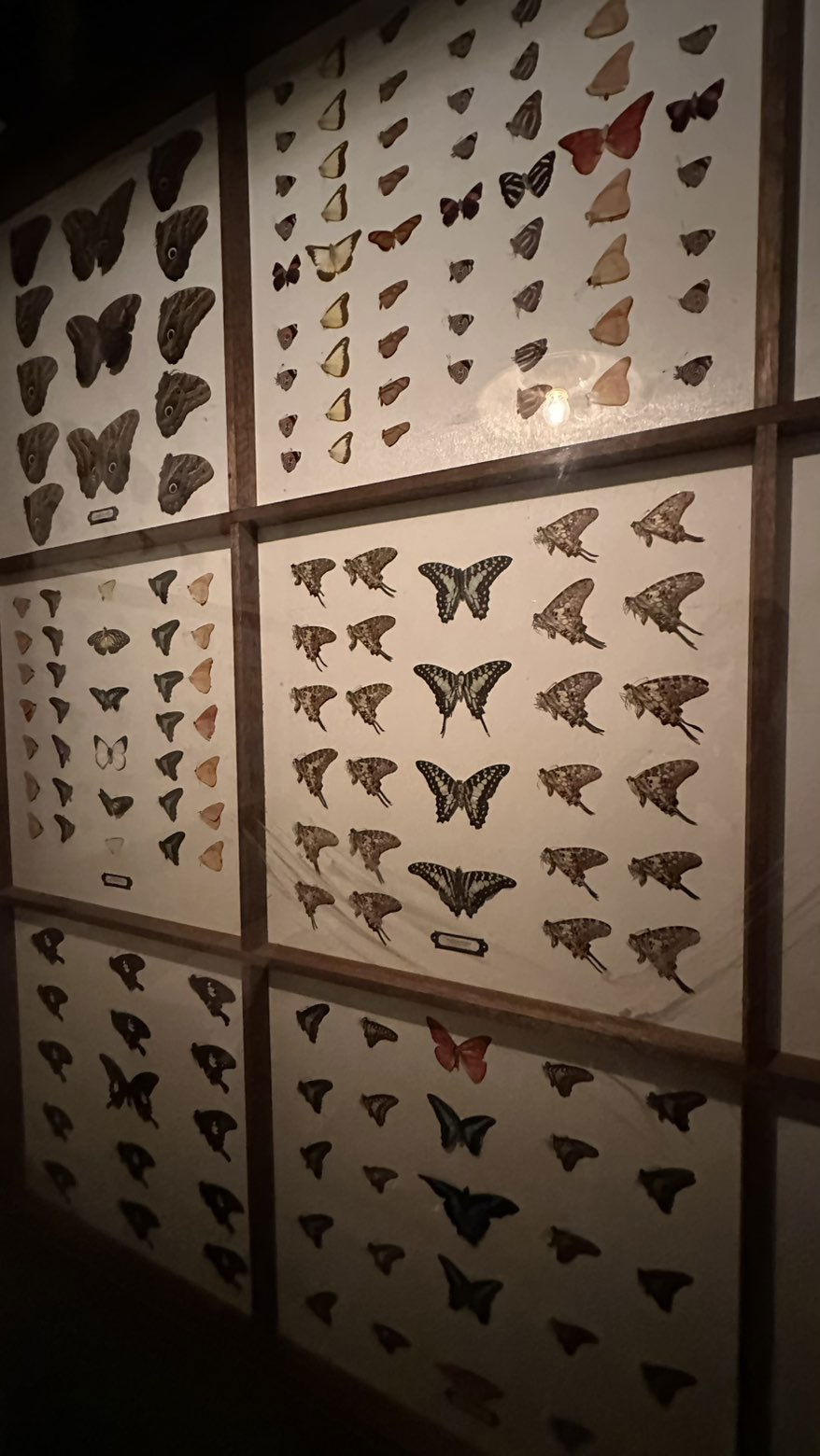 mira.0004 snapchat image archive image