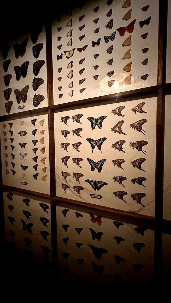 mira.0004 image ~ Altpins