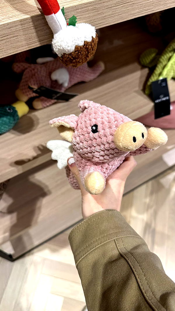 mira.0004 image ~ Altpins