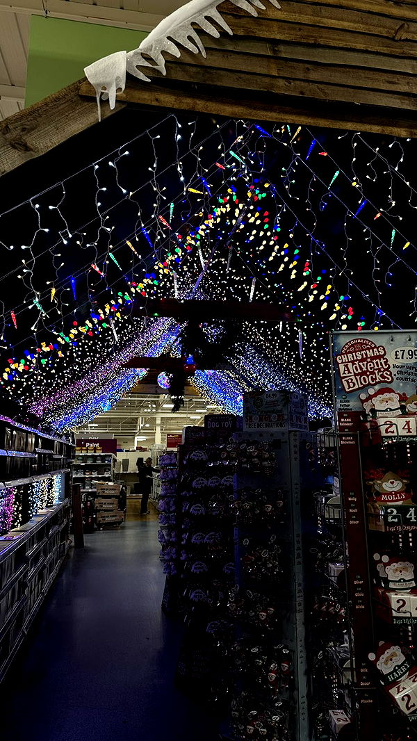 mira.0004 image ~ Altpins