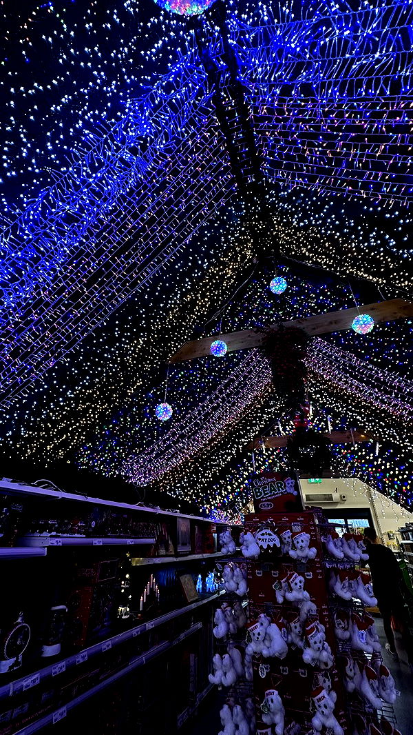 mira.0004 image ~ Altpins