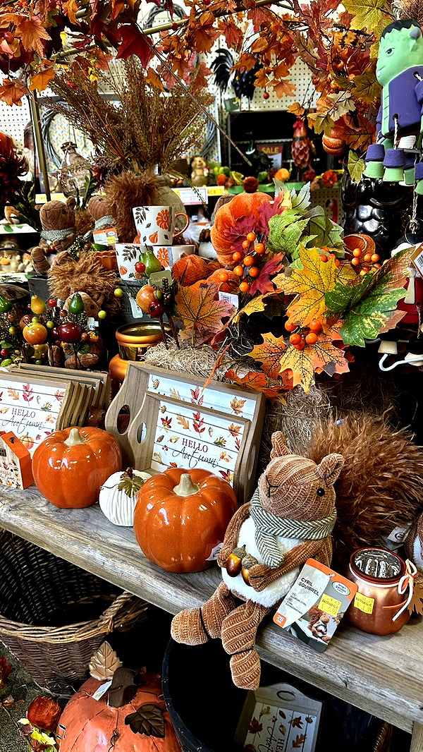 mira.0004 image ~ Altpins