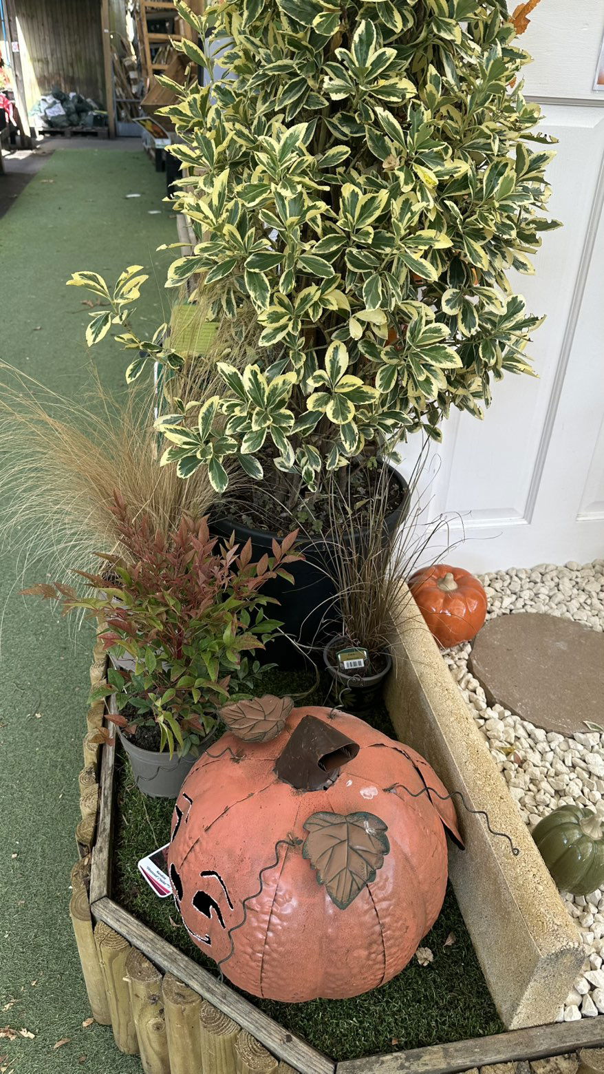 mira.0004 snapchat image archive image