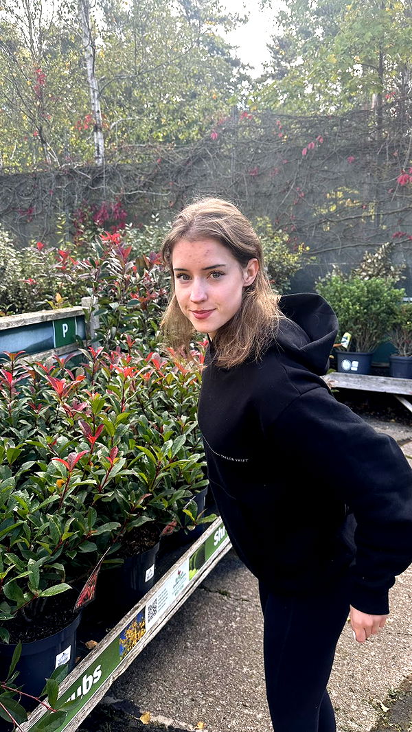 mira.0004 image ~ Altpins