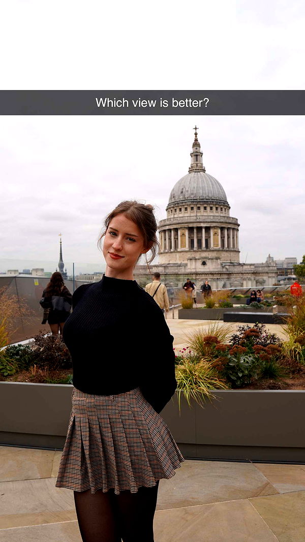 mira.0004 image ~ Altpins