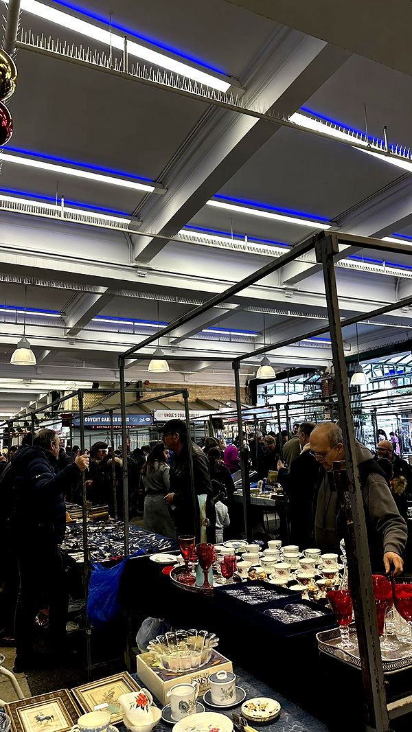 mira.0004 image ~ Altpins