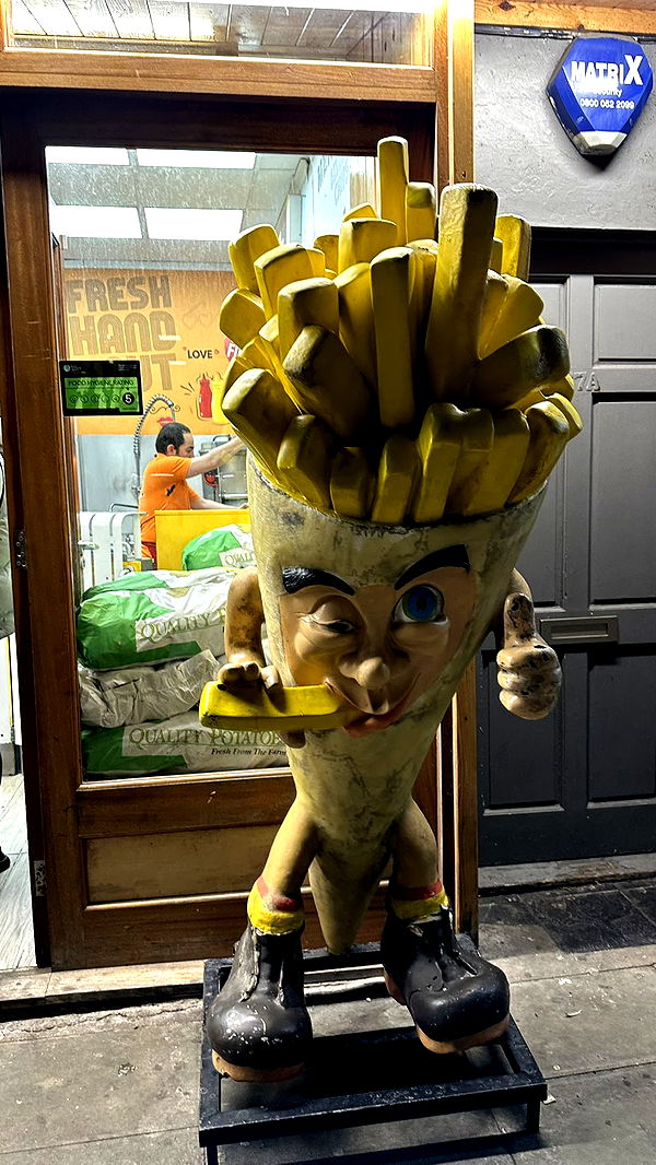 mira.0004 image ~ Altpins