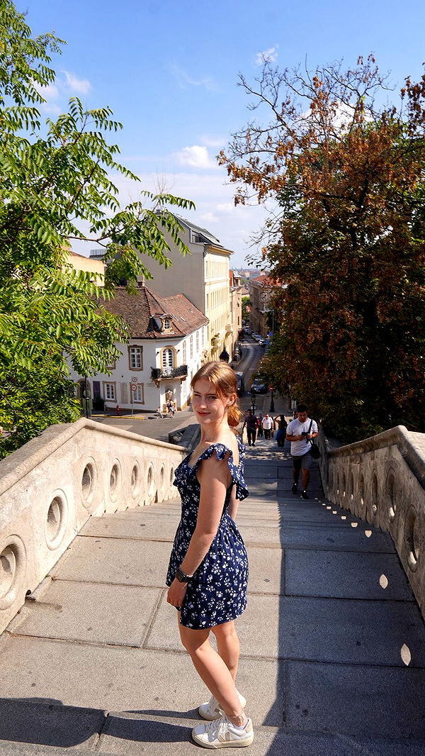 mira.0004 image ~ Altpins