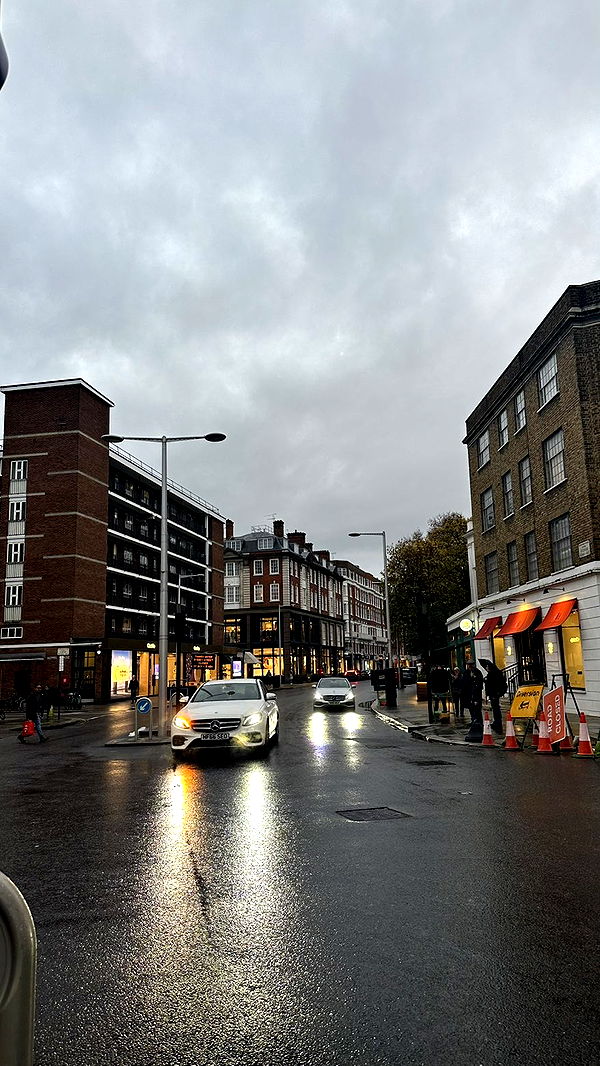 mira.0004 image ~ Altpins