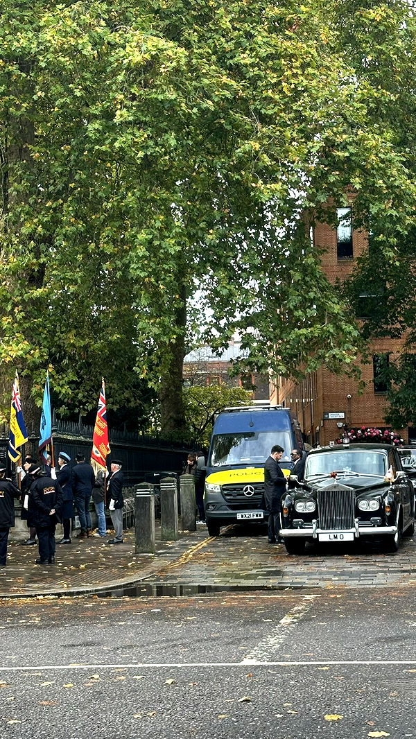 mira.0004 image ~ Altpins