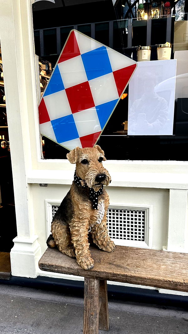 mira.0004 image ~ Altpins