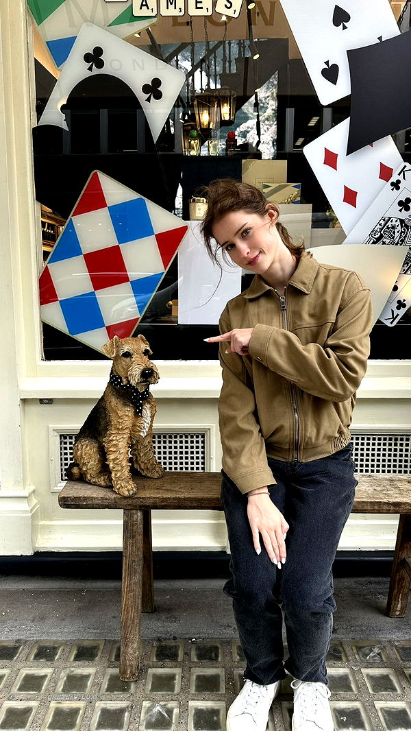 mira.0004 image ~ Altpins