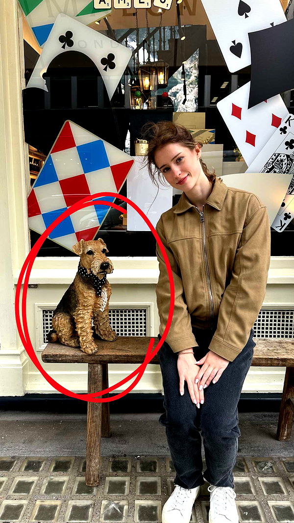 mira.0004 image ~ Altpins