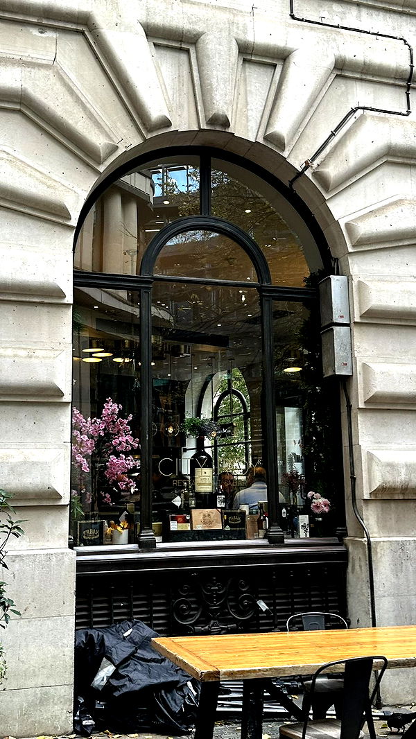 mira.0004 image ~ Altpins