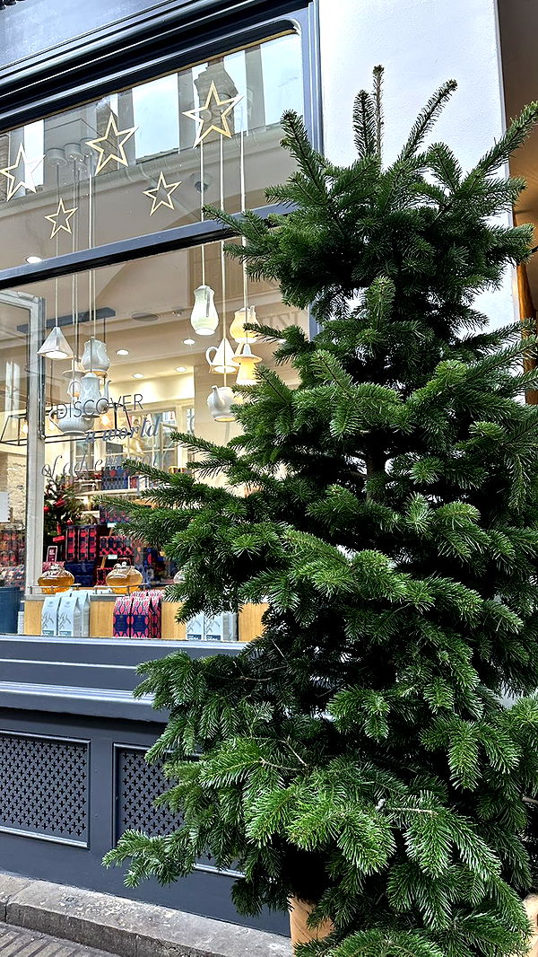 mira.0004 image ~ Altpins