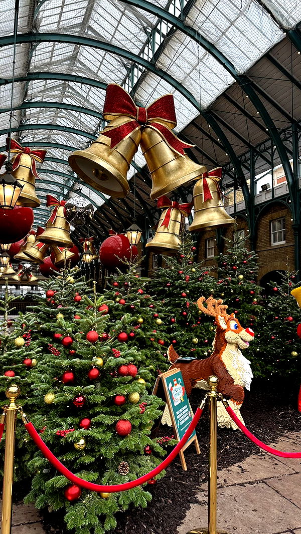 mira.0004 image ~ Altpins