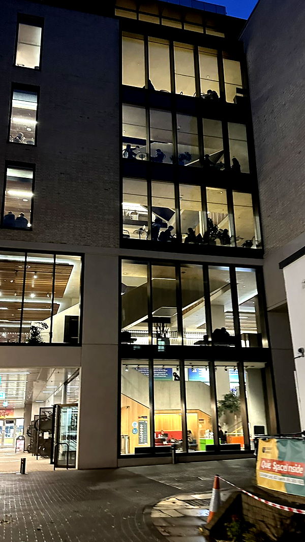 mira.0004 image ~ Altpins