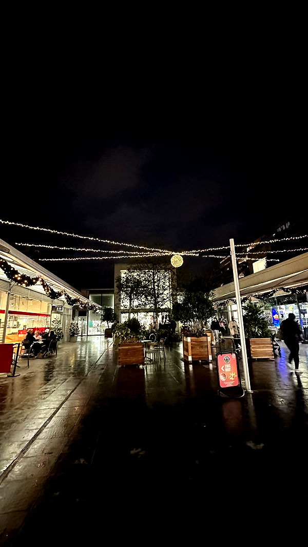 mira.0004 image ~ Altpins