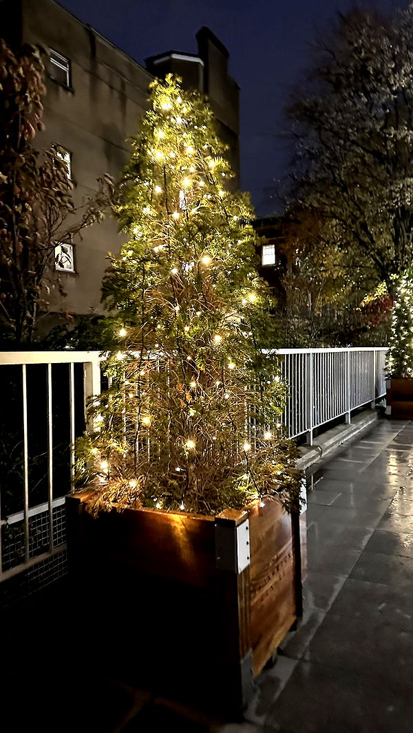 mira.0004 image ~ Altpins