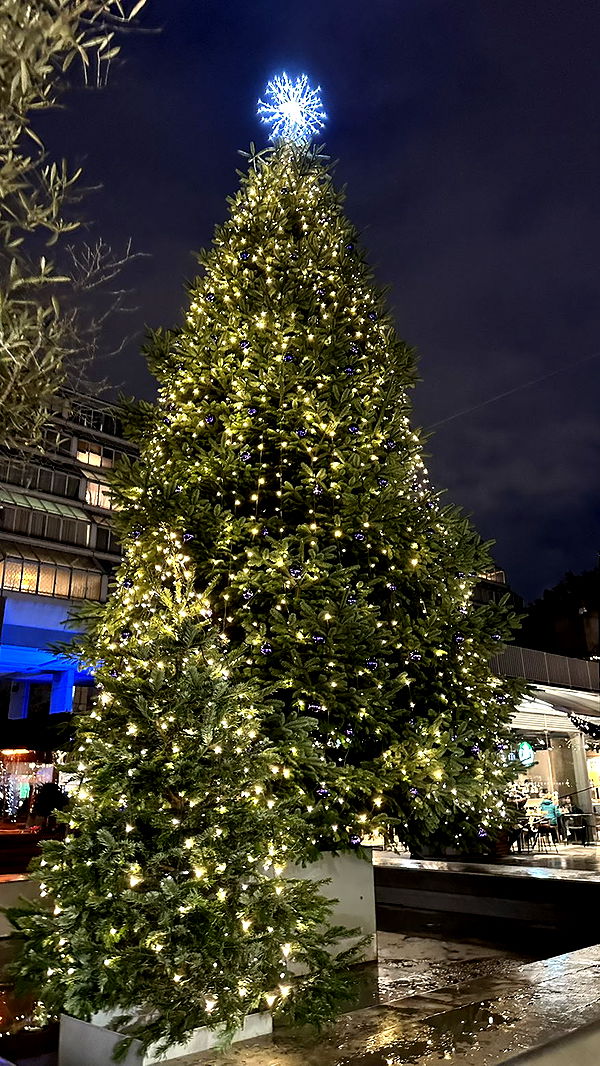 mira.0004 image ~ Altpins