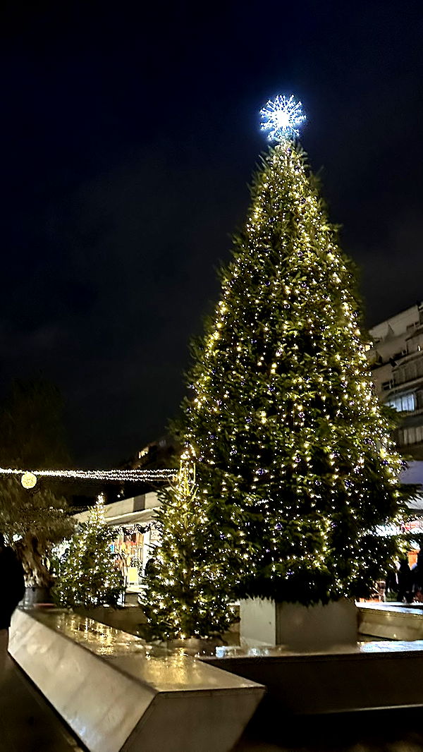 mira.0004 image ~ Altpins