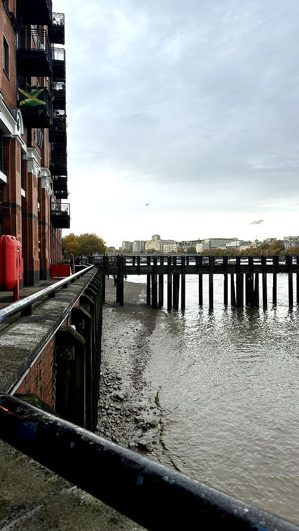 mira.0004 image ~ Altpins