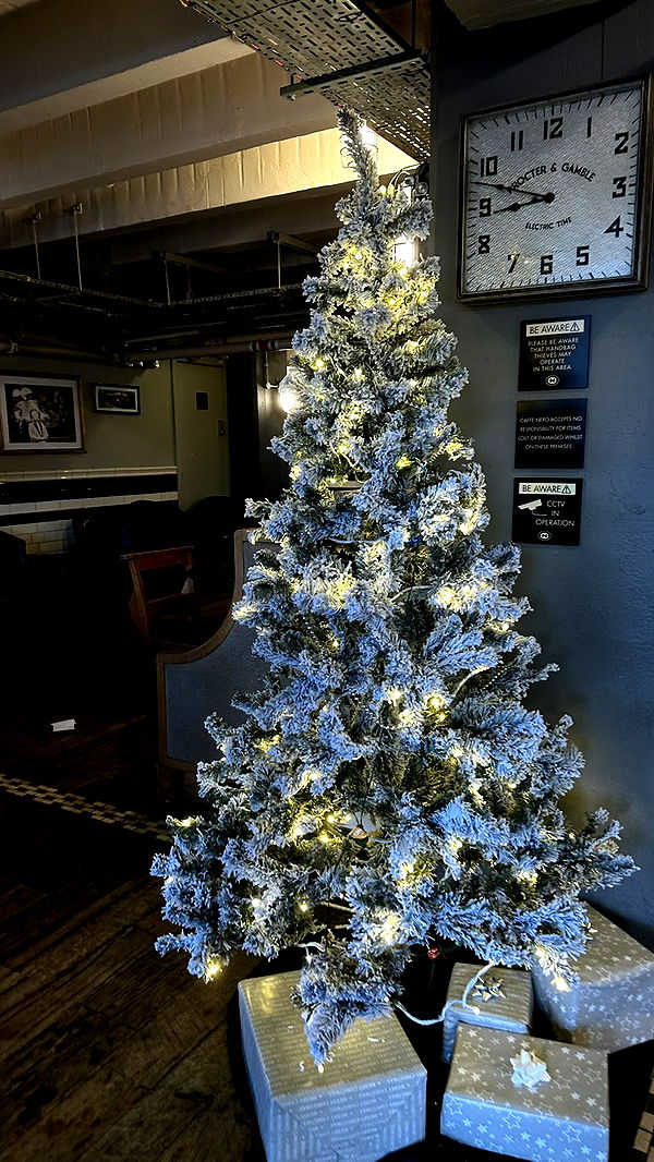 mira.0004 image ~ Altpins