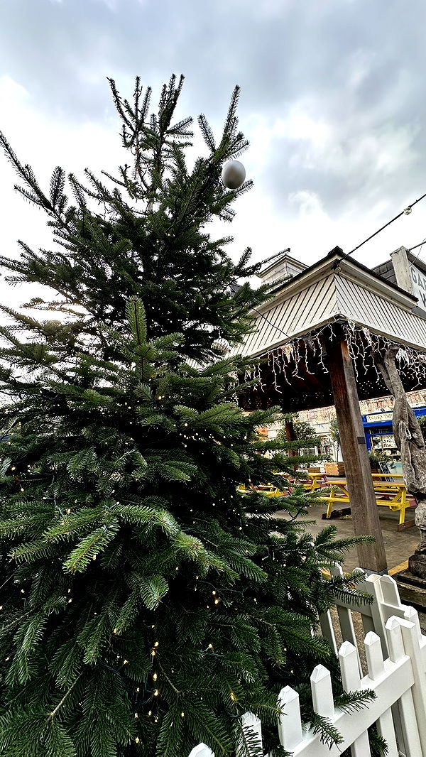 mira.0004 image ~ Altpins