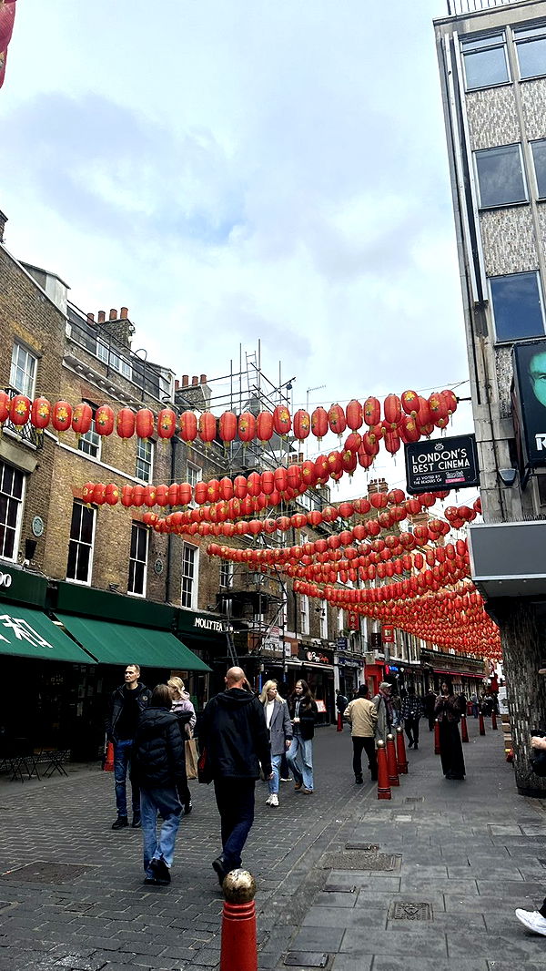 mira.0004 image ~ Altpins