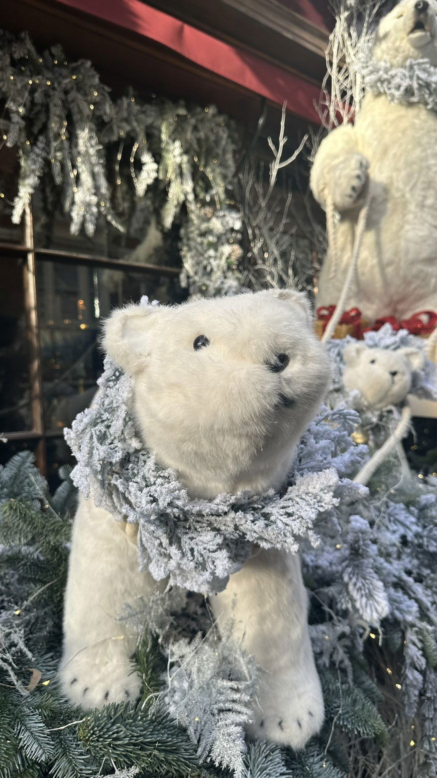 mira.0004 snapchat image archive image