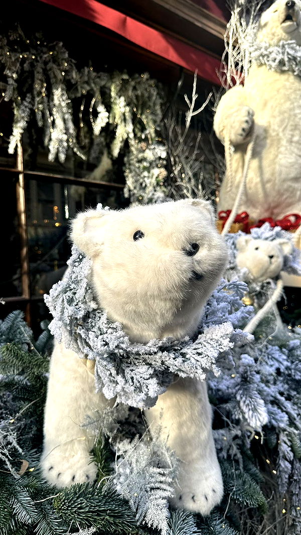 mira.0004 image ~ Altpins