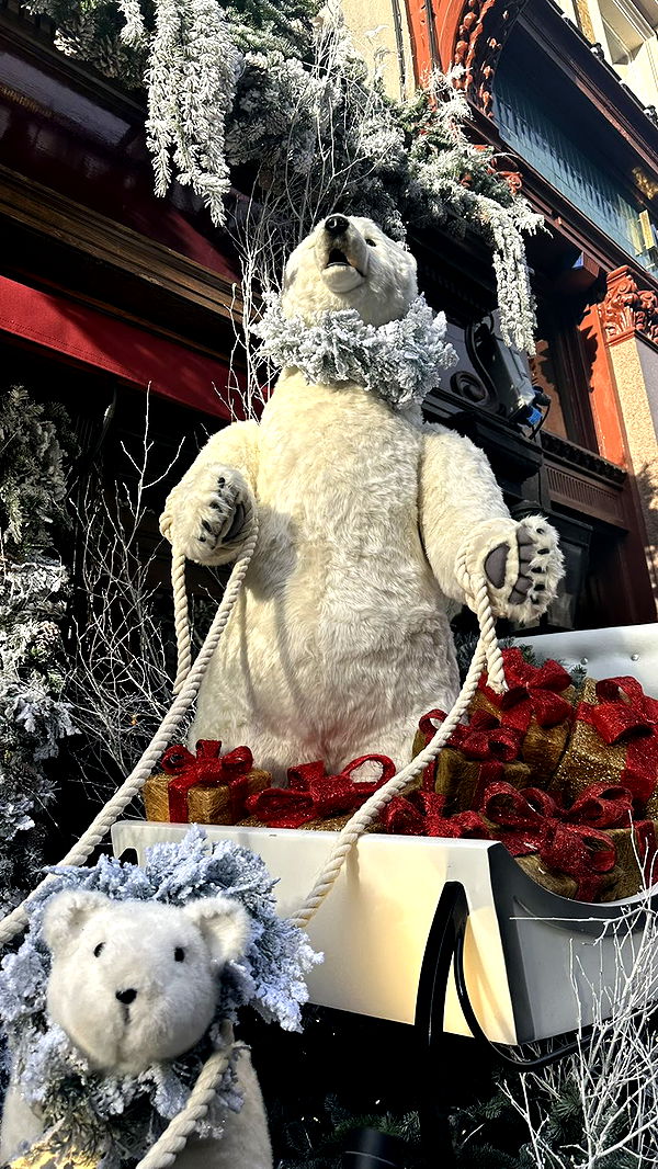 mira.0004 image ~ Altpins