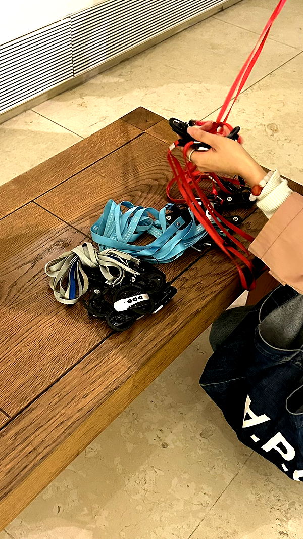 mira.0004 image ~ Altpins