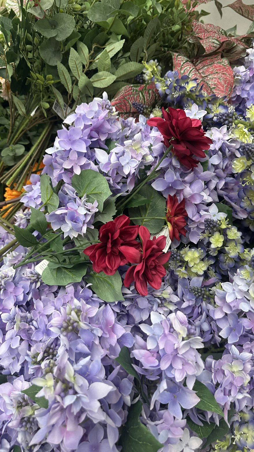 mira.0004 snapchat image archive image