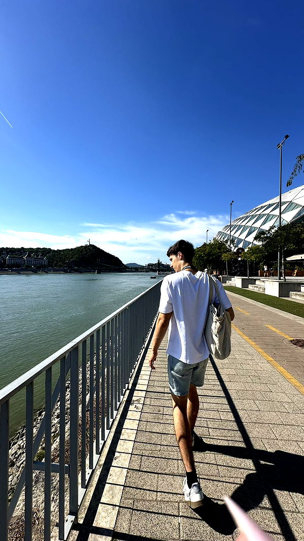 mira.0004 image ~ Altpins