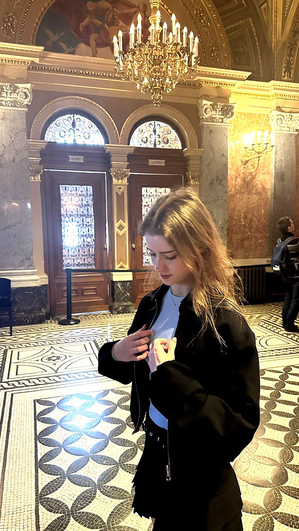 mira.0004 image ~ Altpins