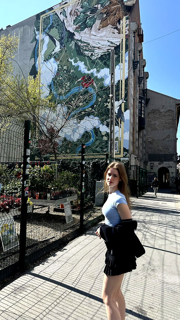 mira.0004 image ~ Altpins