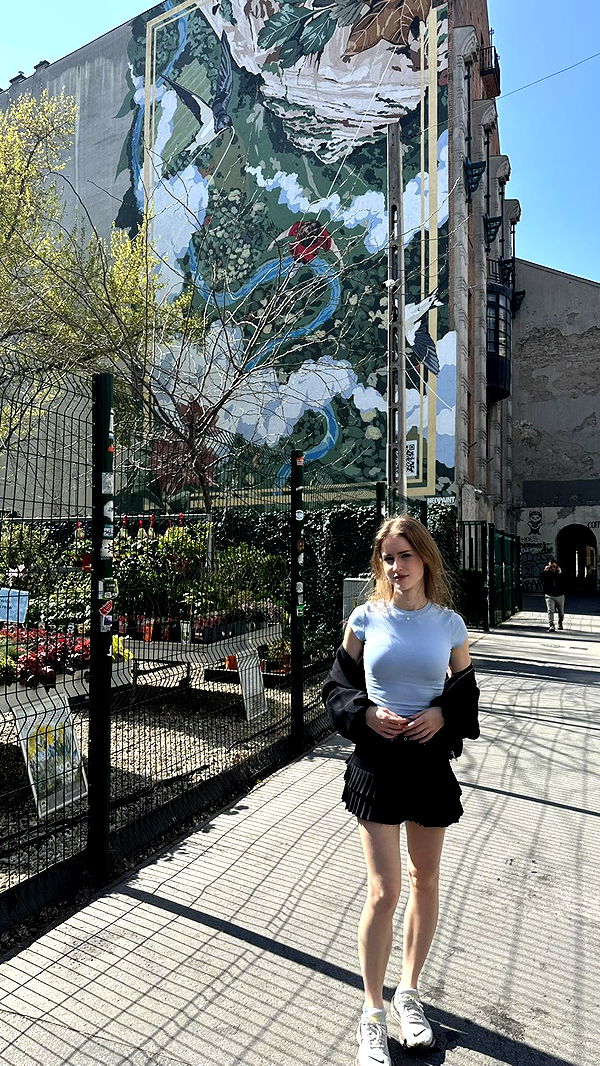 mira.0004 image ~ Altpins