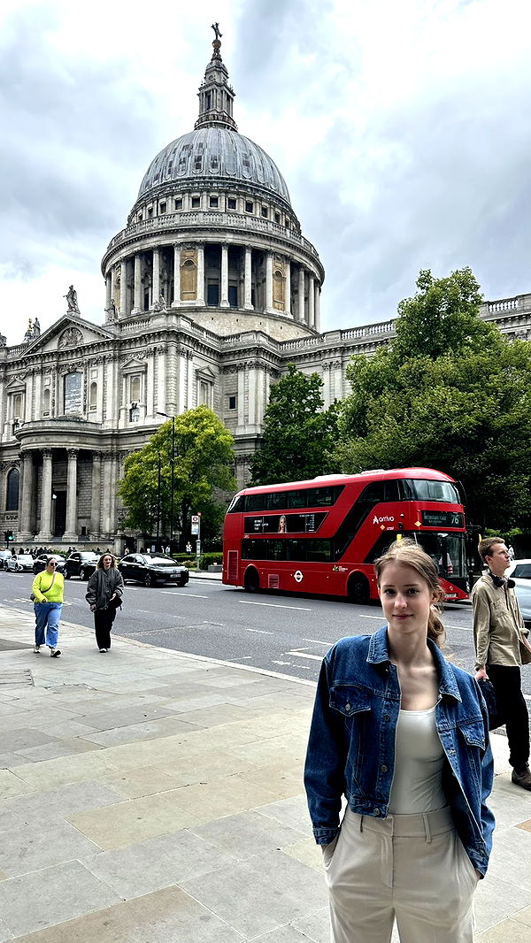 mira.0004 image ~ Altpins