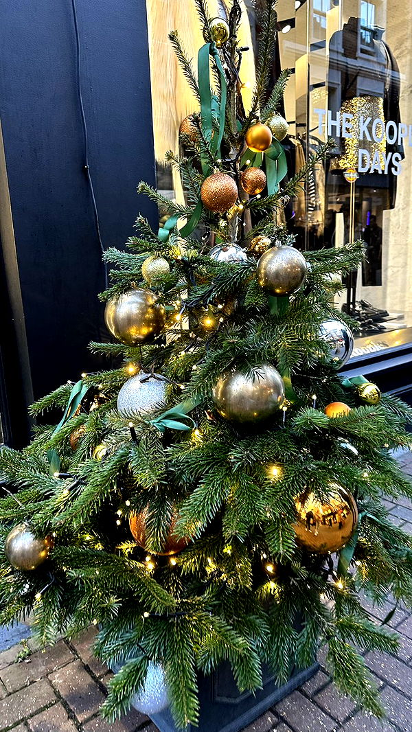 mira.0004 image ~ Altpins