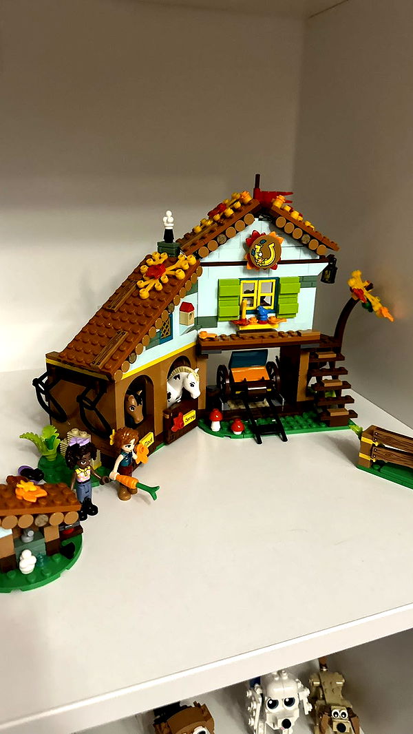 mira.0004 image ~ Altpins