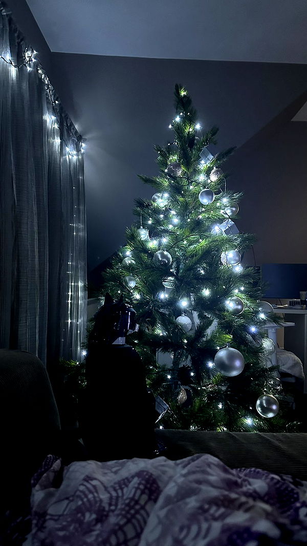 mira.0004 image ~ Altpins